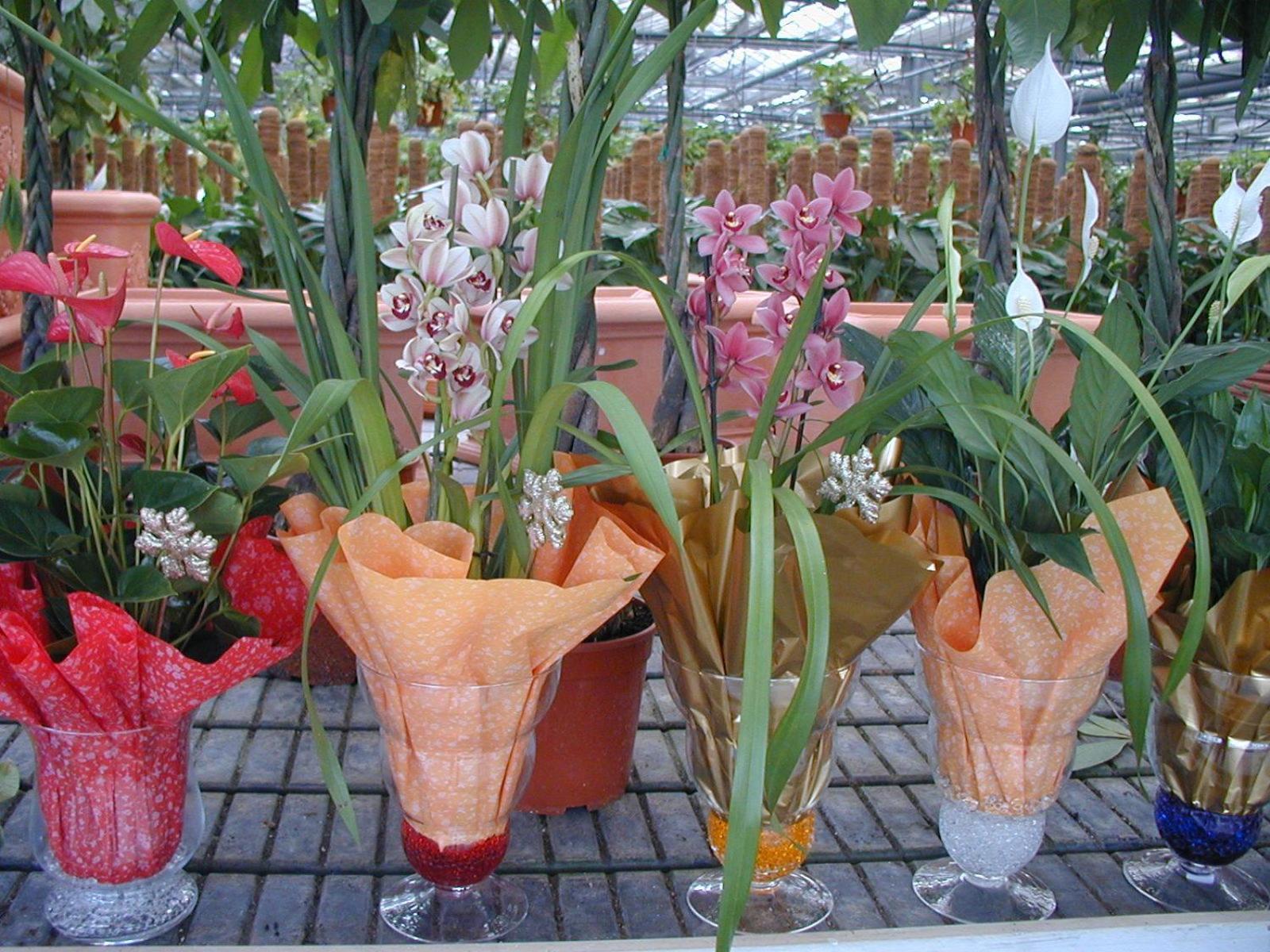Вилла Societa Agricola Mg Florplant Francavilla Marittima Экстерьер фото