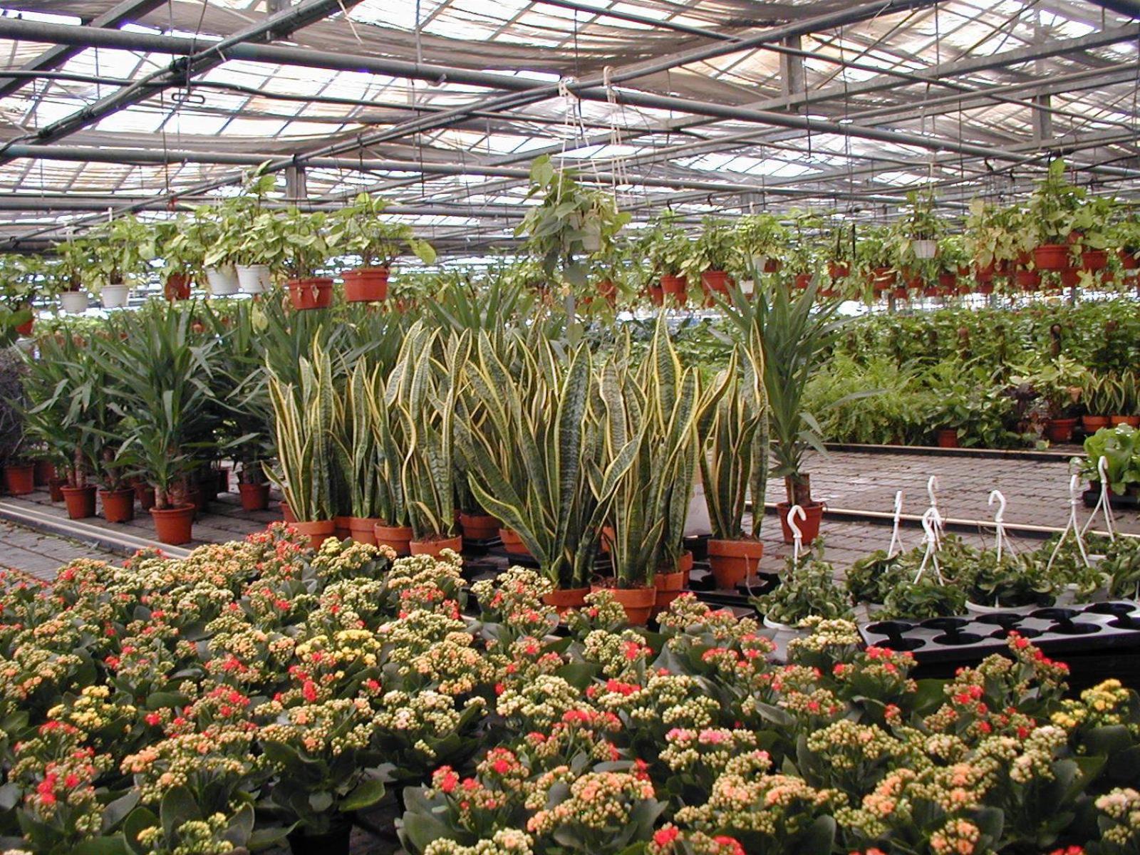 Вилла Societa Agricola Mg Florplant Francavilla Marittima Экстерьер фото